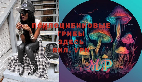 ГАЛЛЮЦИНОГЕННЫЕ ГРИБЫ Касимов