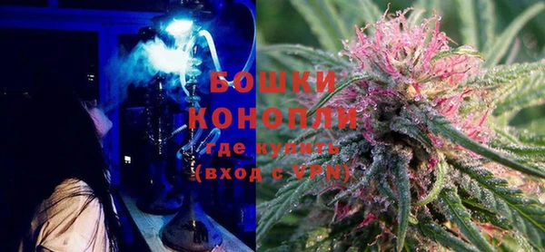 ГАЛЛЮЦИНОГЕННЫЕ ГРИБЫ Касимов