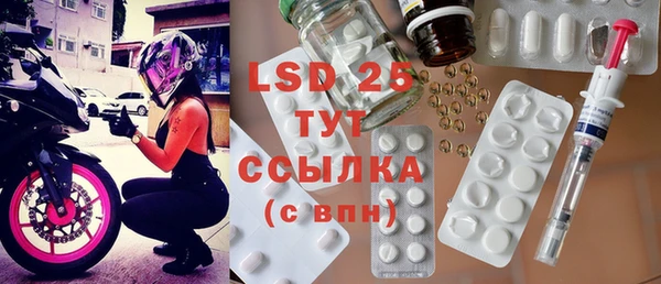ГАЛЛЮЦИНОГЕННЫЕ ГРИБЫ Касимов