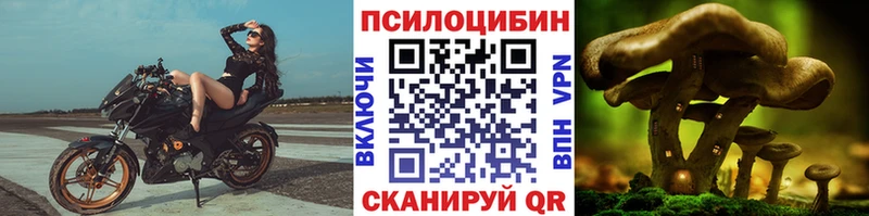 Купить где  Мелеуз  Псилоцибиновые грибы ЛСД 